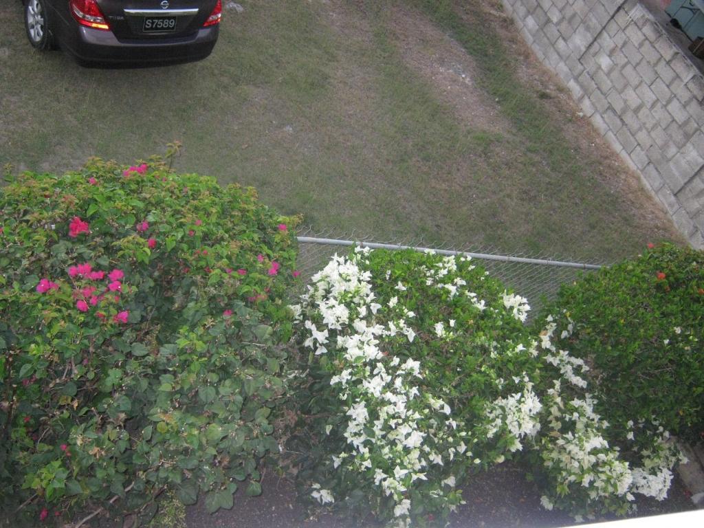 Apartment Winchelsea Guesthome *