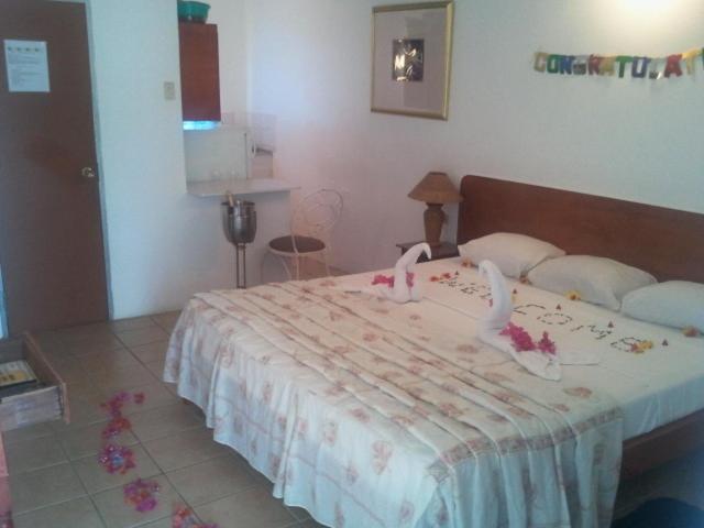 Golden Thistle Guest house 2*