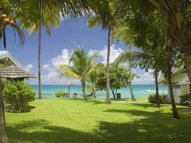 Hawksbill Antigua (adults Only)