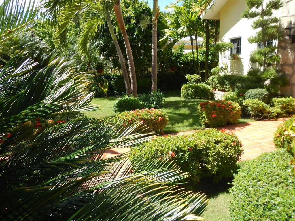 Vacation Lion Holiday home