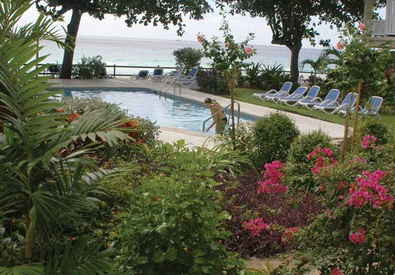 Allamanda Rockley
