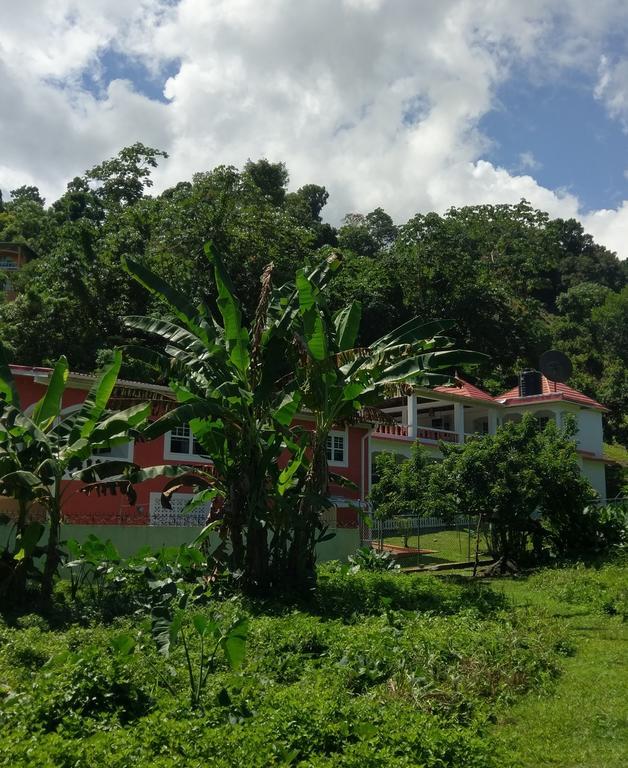 Polish Princess Port Antonio