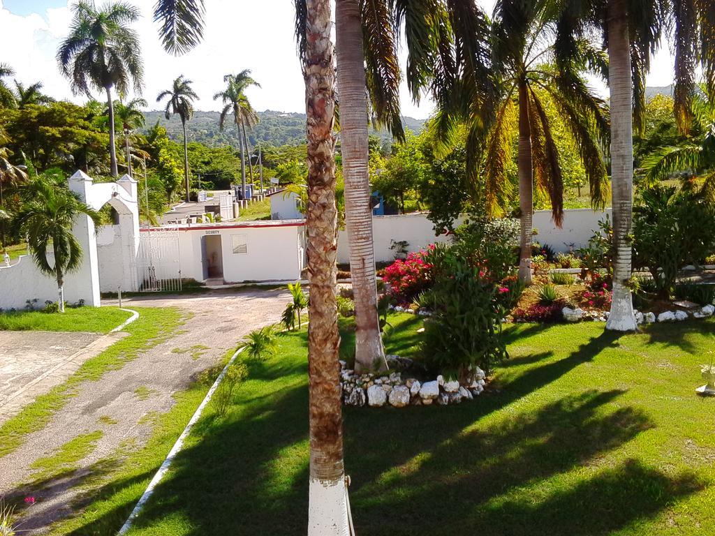 Executive Mammee Bay Hotel