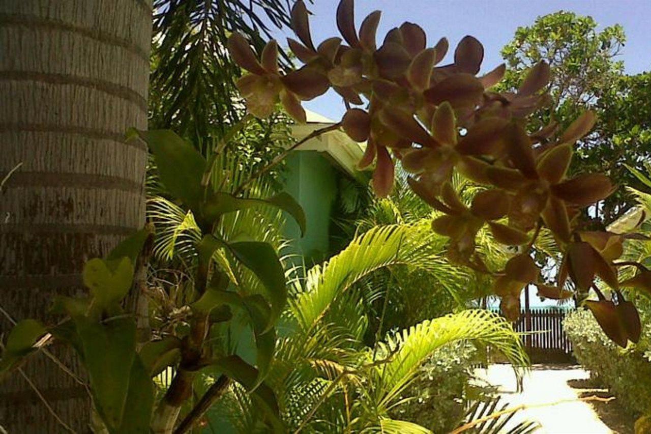 Buccaneer Club Aparthotel