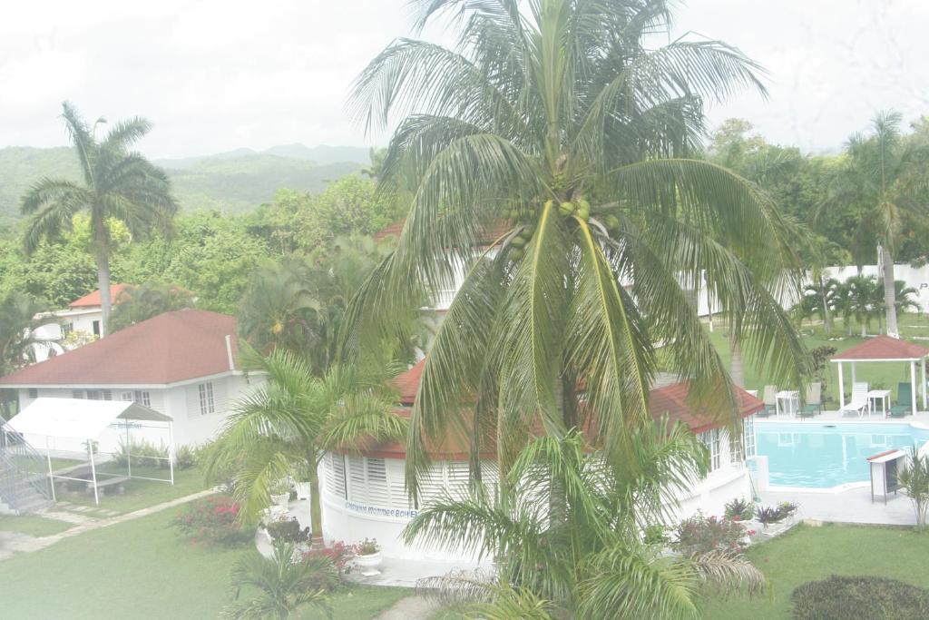 Executive Mammee Bay Ocho Rios
