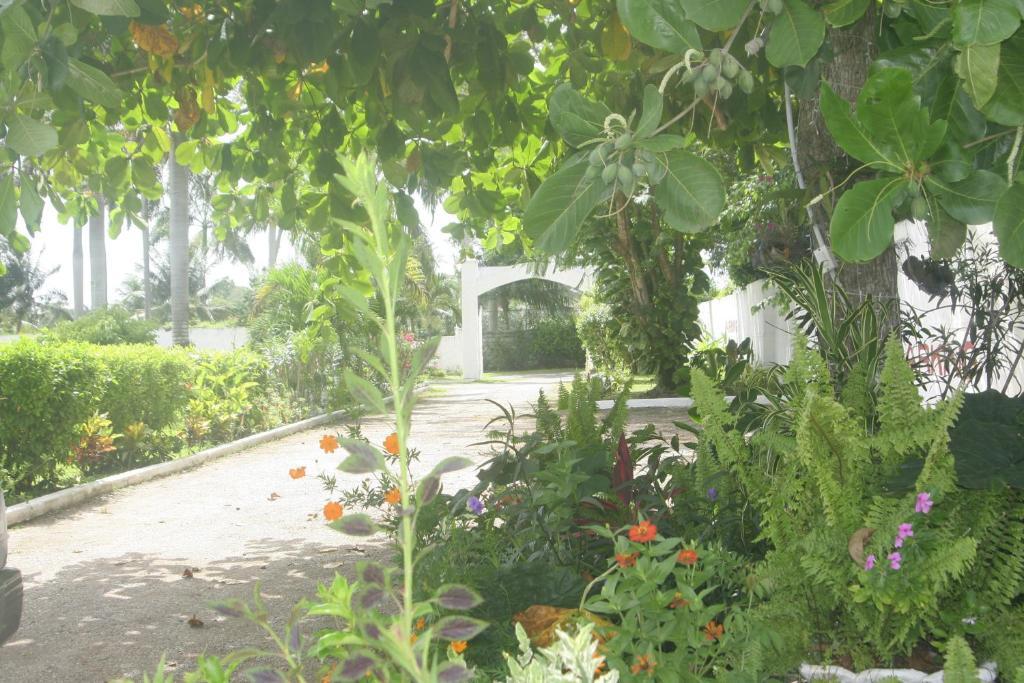 Hotel Executive Mammee Bay 3*
