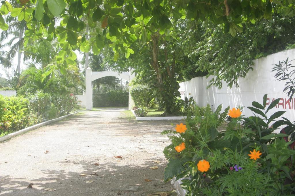 Executive Mammee Bay Hotel