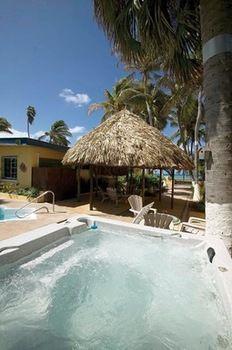 Aruba Sunset Apartment Palm Beach