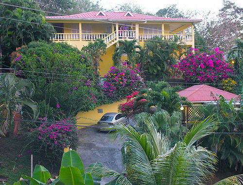 Hibiscus Heights 3* Black Rock