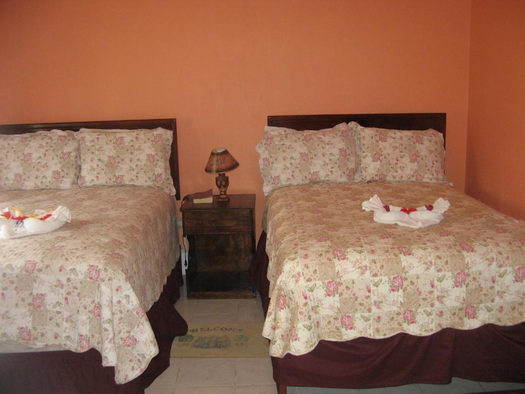 Hotel Executive Mammee Bay Ocho Rios