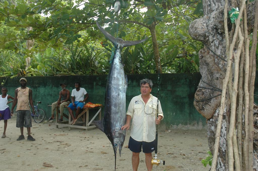 Moon San At The Blue Lagoon Port Antonio