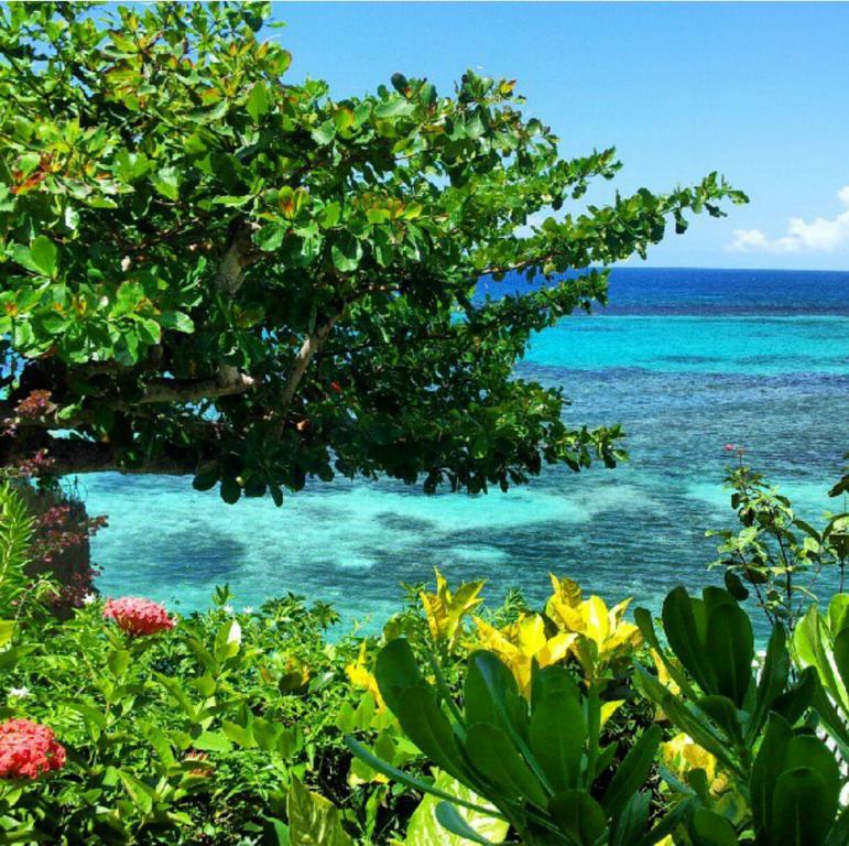 Hotel Hibiscus