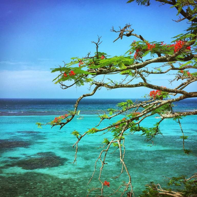 Hibiscus Hotel