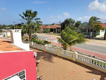 Aruba Cunucu Palm Beach