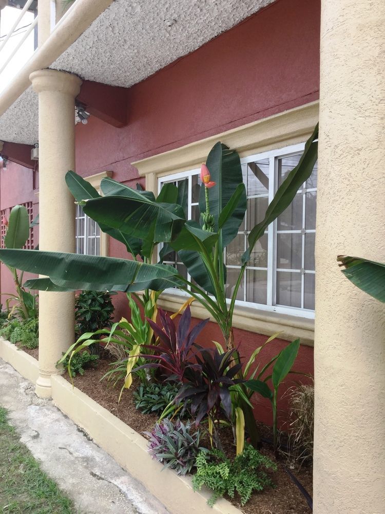 Flight Inn Piarco