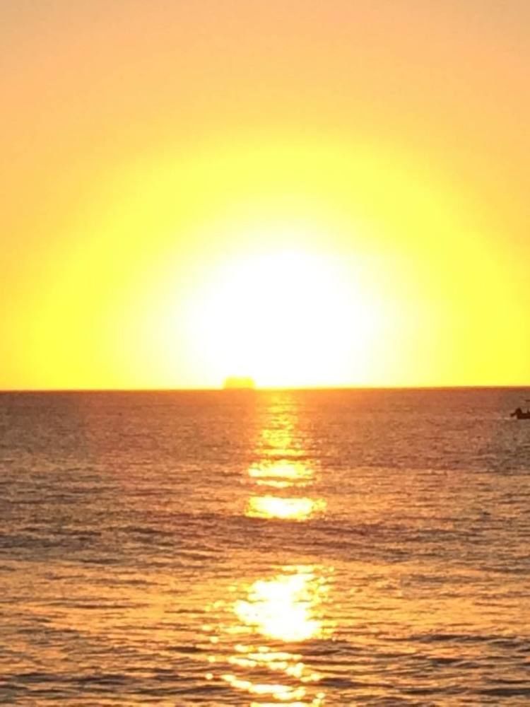 Sunset Oasis
