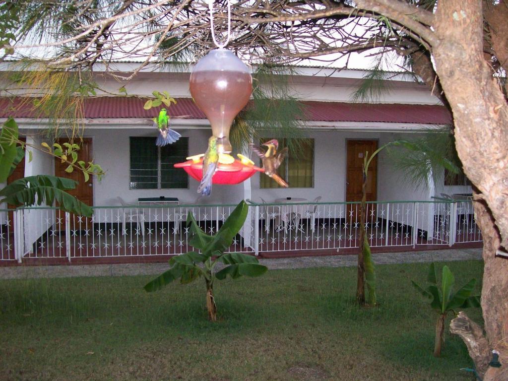 Guest house Golden Thistle