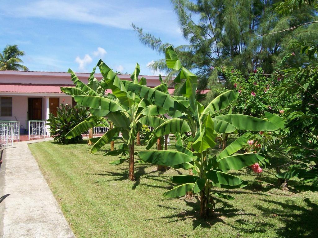 Golden Thistle Guest house
