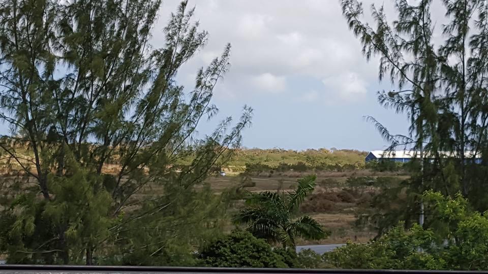 Casa de hóspedes Cynson