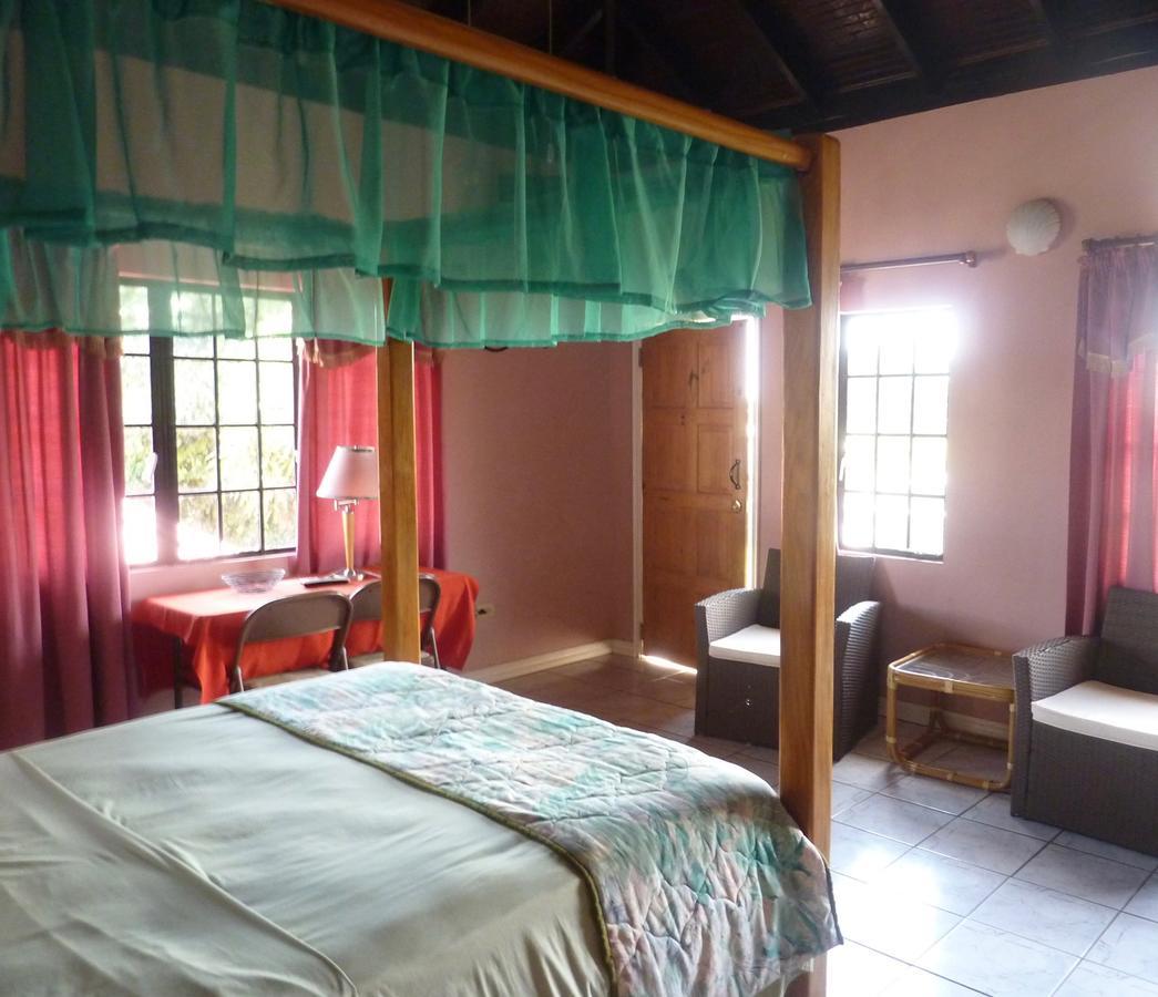 The Hummingbird Hotel 3*