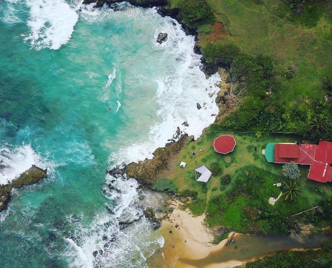 Go Natural Jamaica