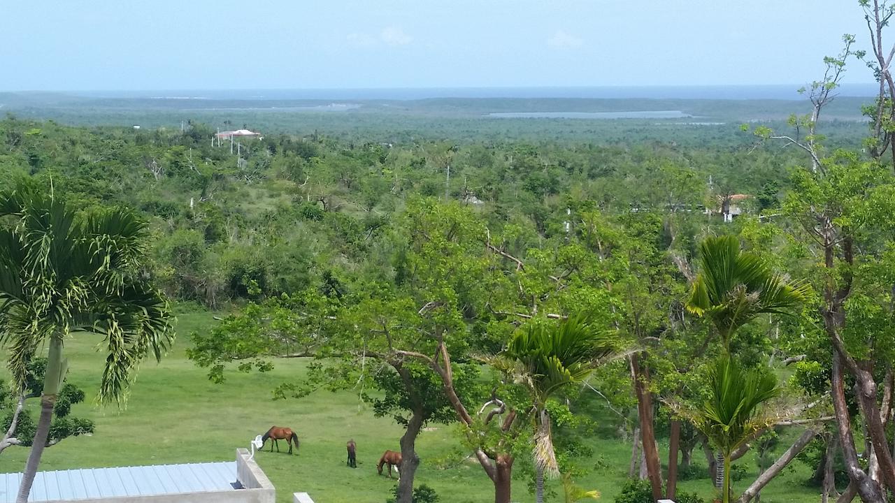 Hotel Hix Island House