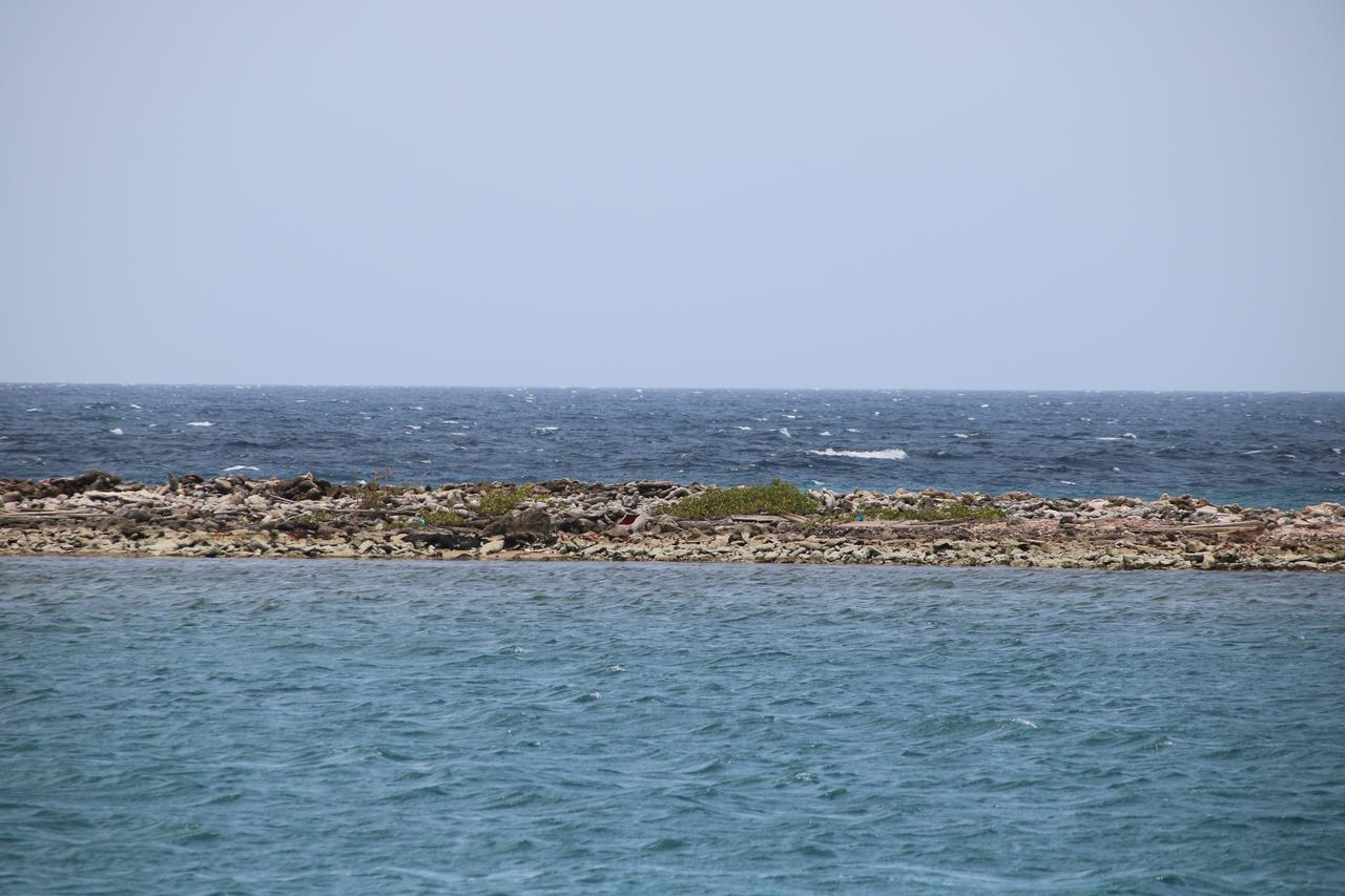 Coral Reef
