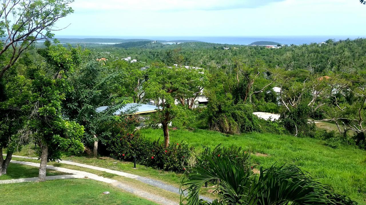 Hix Island House Vieques
