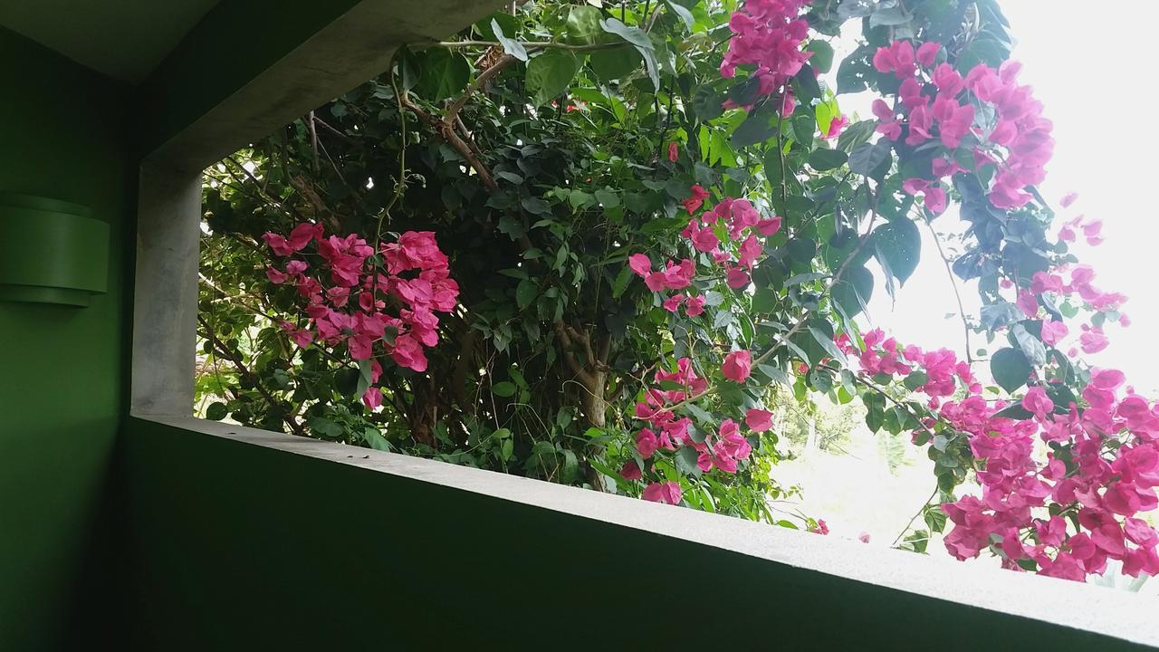 Hix Island House Vieques