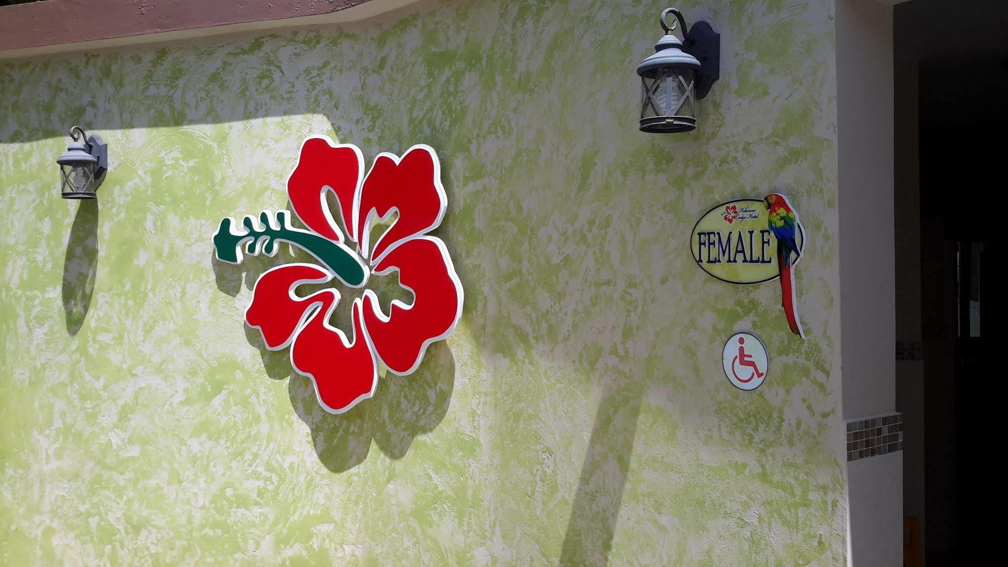Hibiscus Ocho Rios