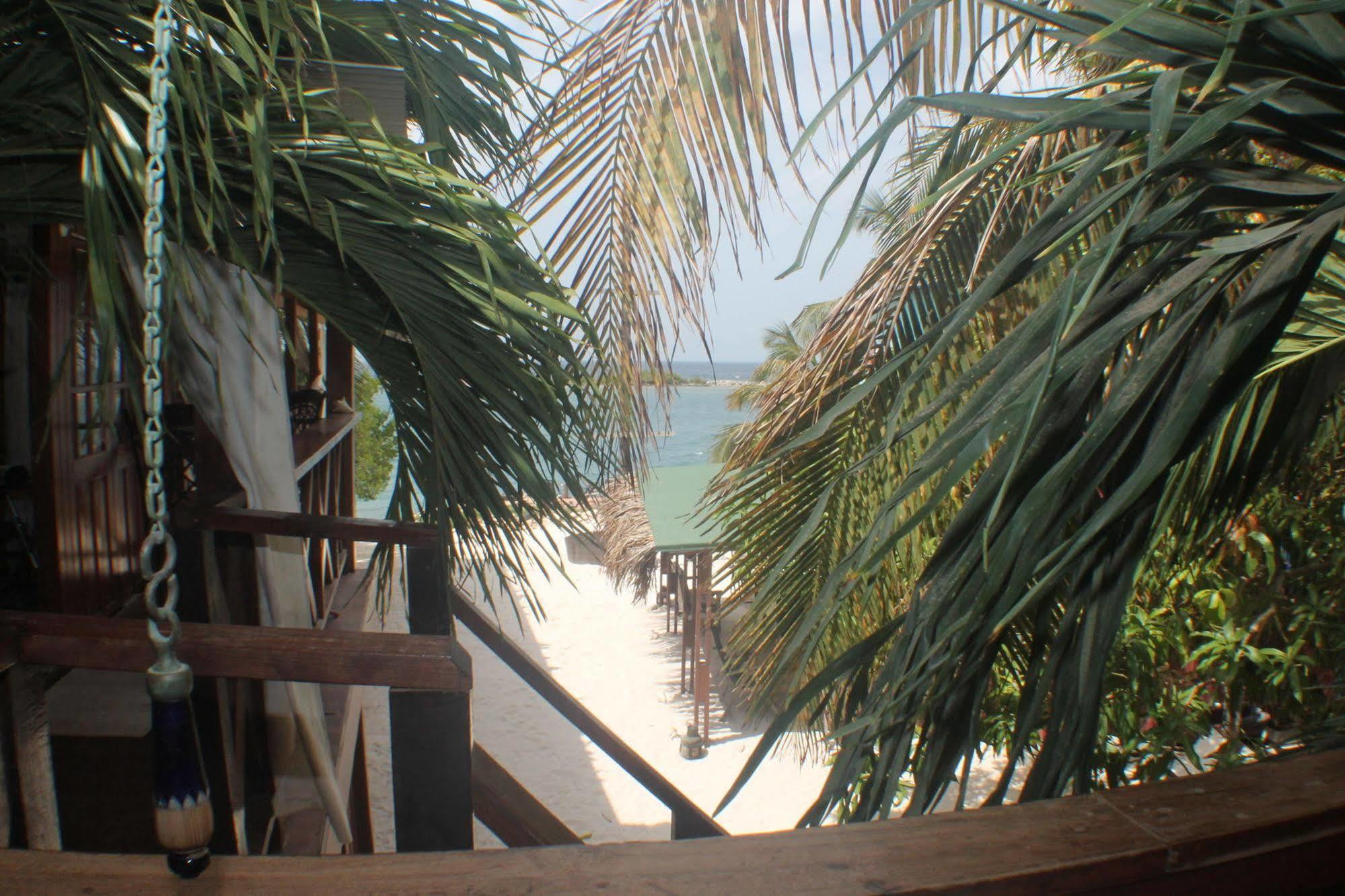 Hotel Coral Reef