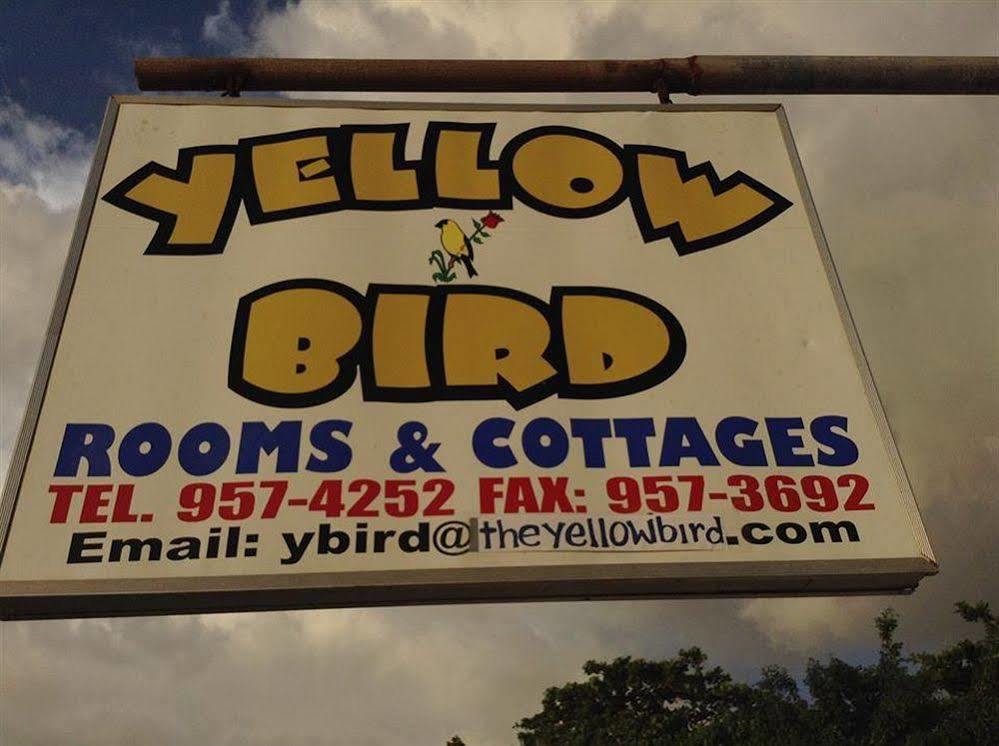 Yellow Bird Sea Hotel Negril