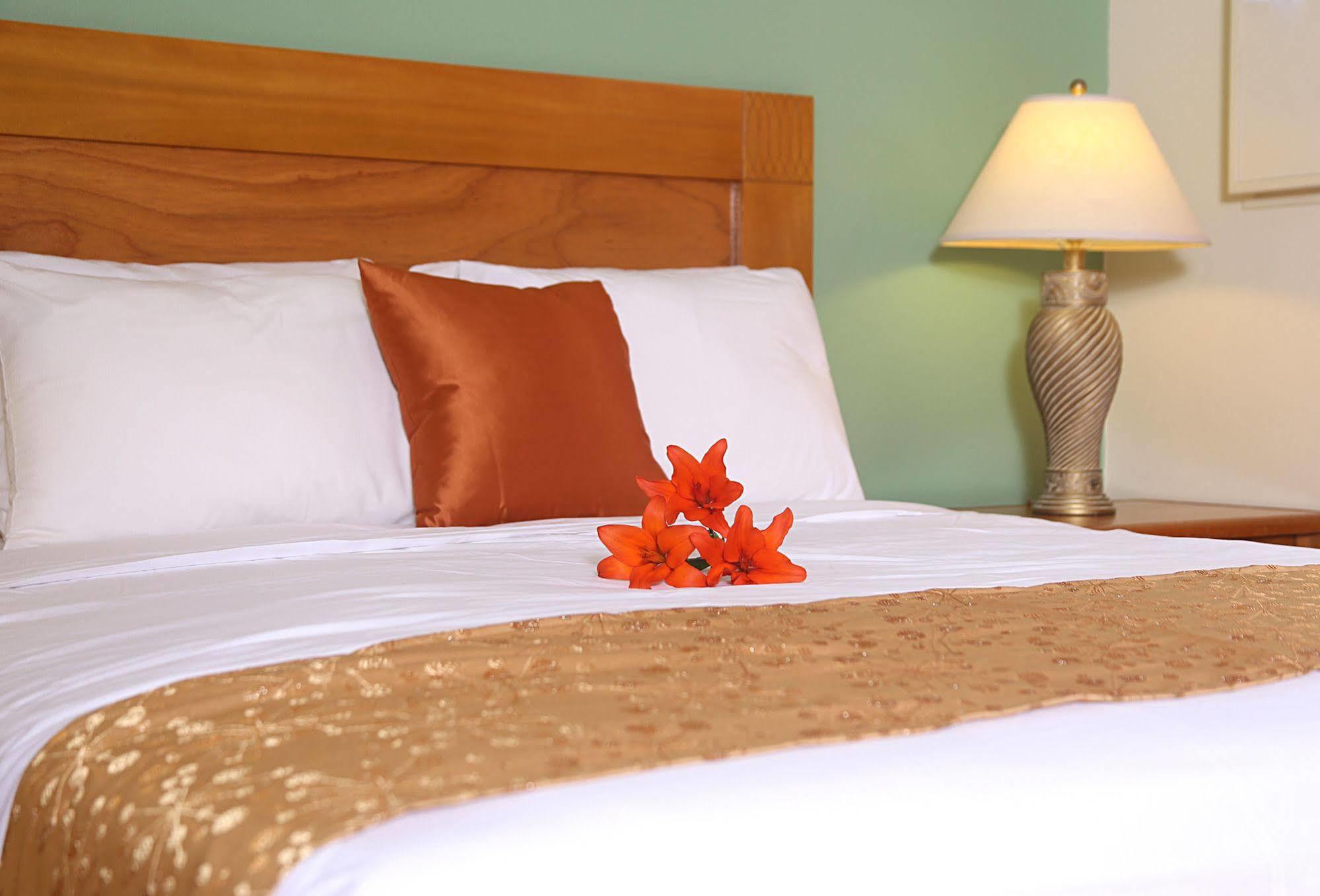 Punto Di Oro Aparthotel Aruba