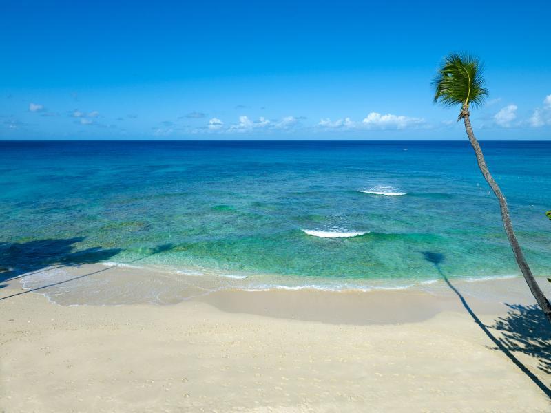 Hotel Treasure Art Hotel, Barbados, An Autograph Collection (adults Only)