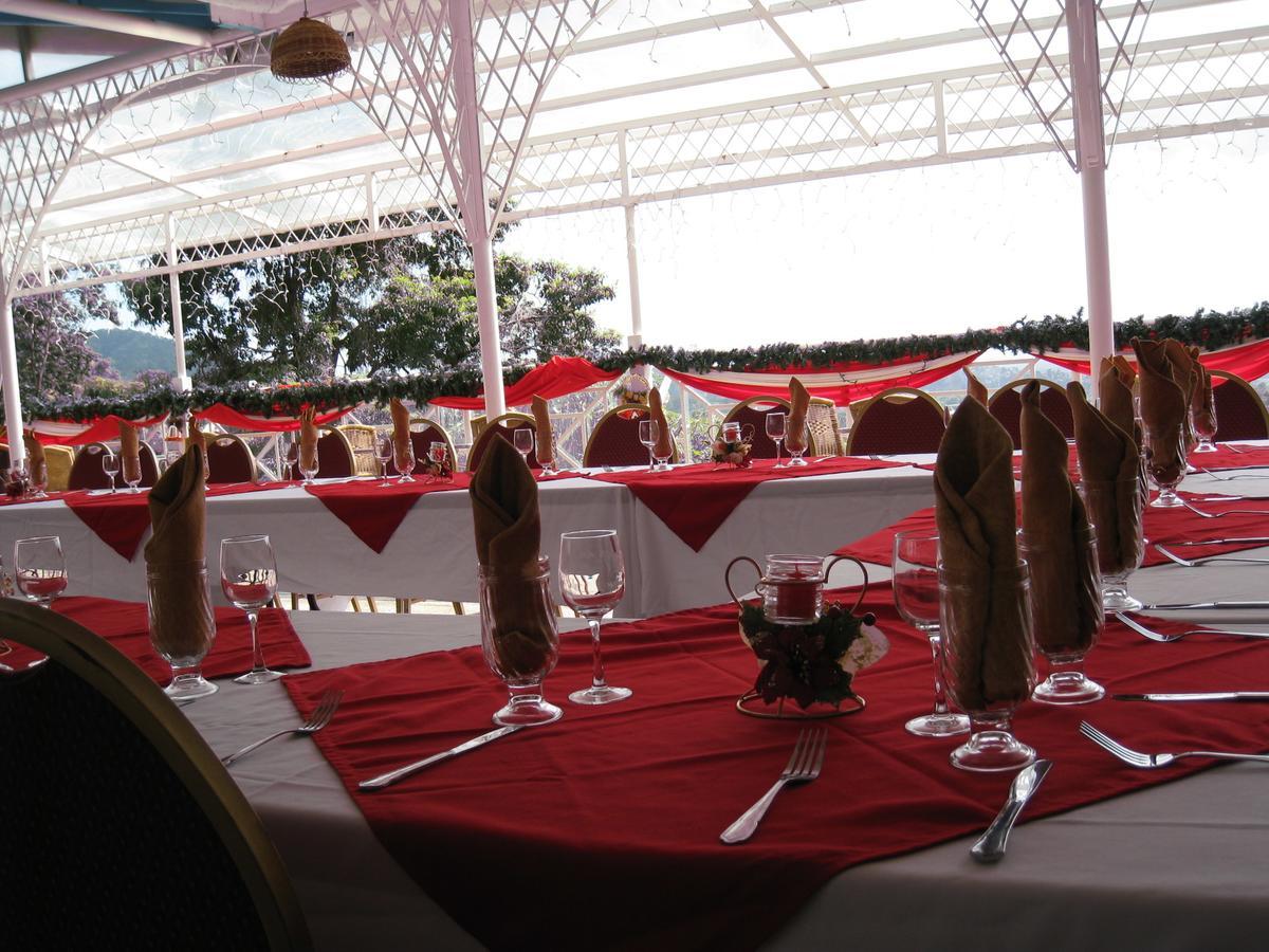 Hotel Alicia's Palace