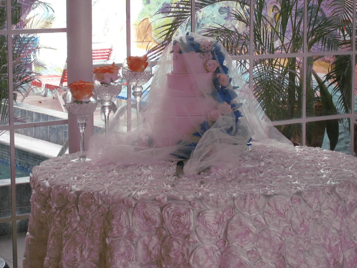 Alicia's Palace Hotel