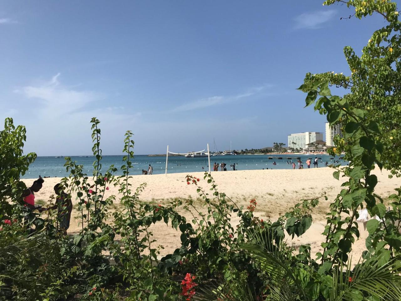 Thirty Six D- Turtle Towers Apartment Ocho Rios