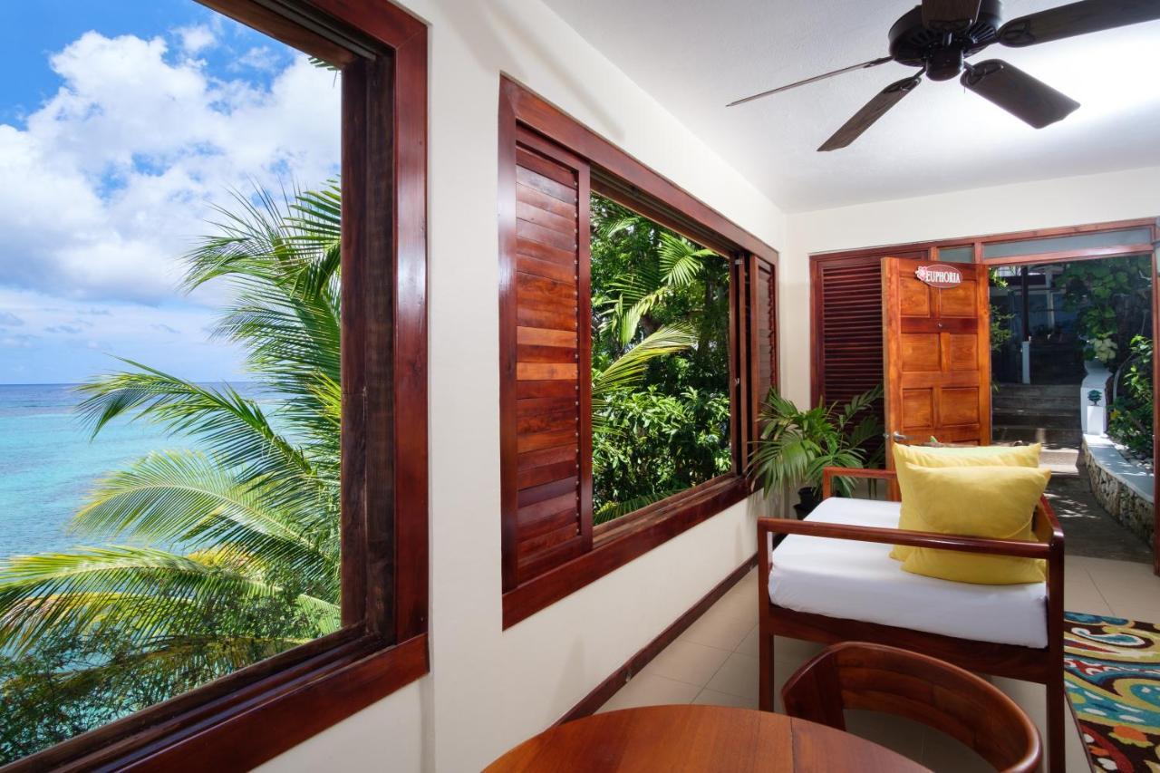 Hibiscus 3*