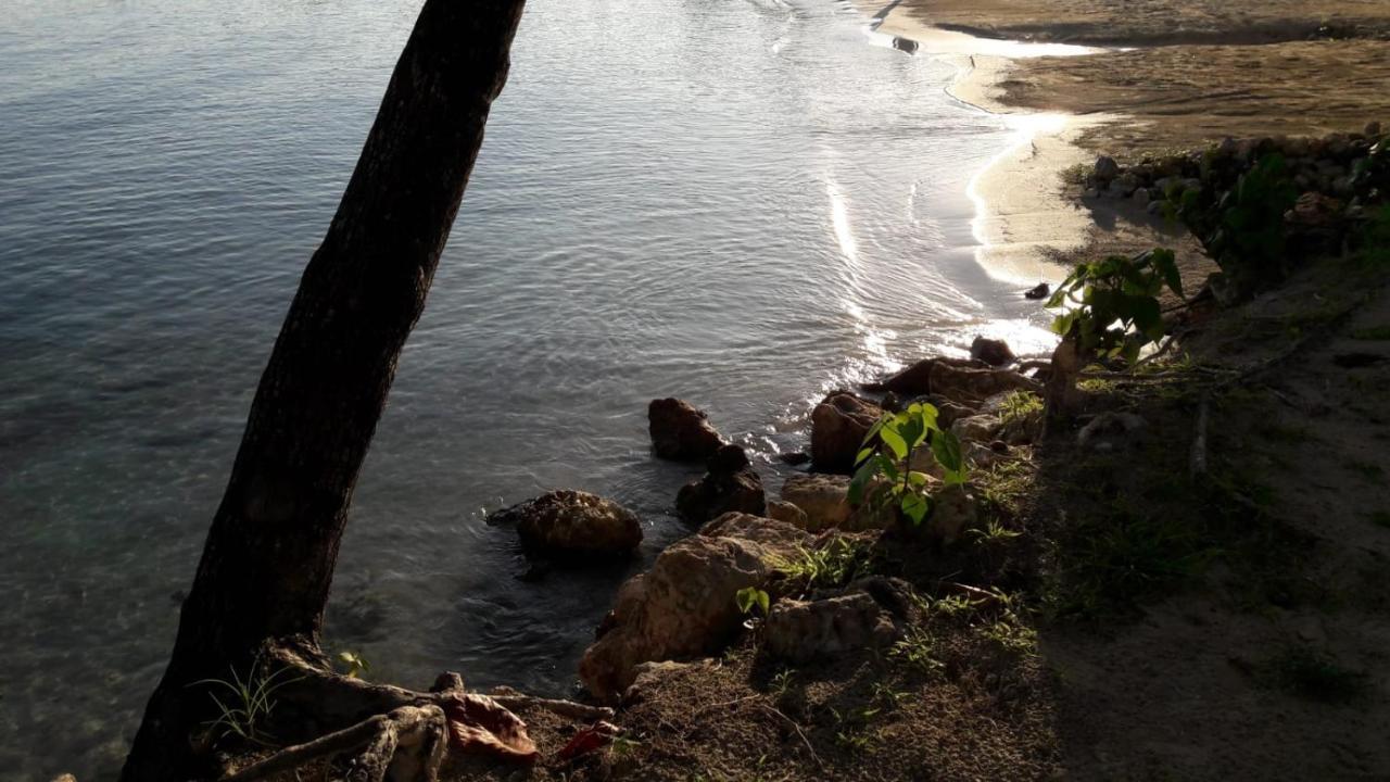 Apartamento Castle Ocho Rios