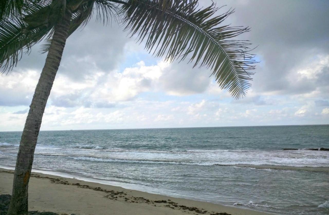 Dorado Beach Condo Apartamento *