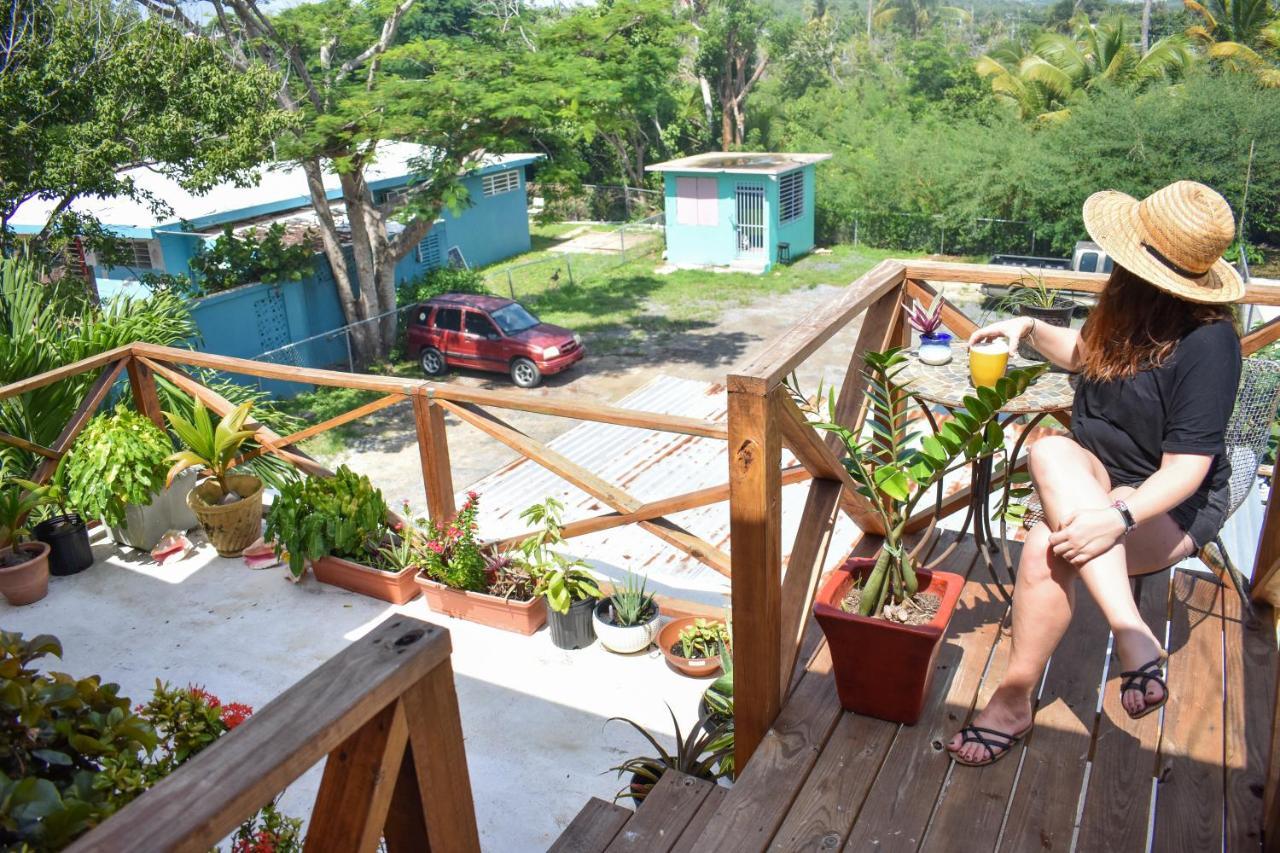 Flamboyan 3* Vieques