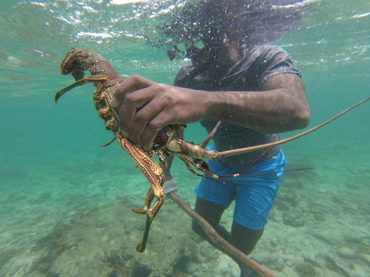 Hostel Fish Tobago Buccoo