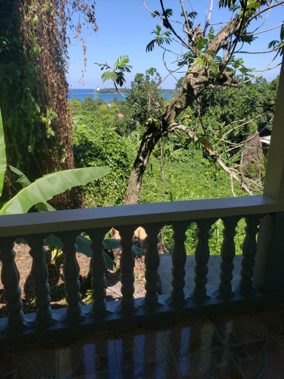 Viva Violas Albergue Port Antonio
