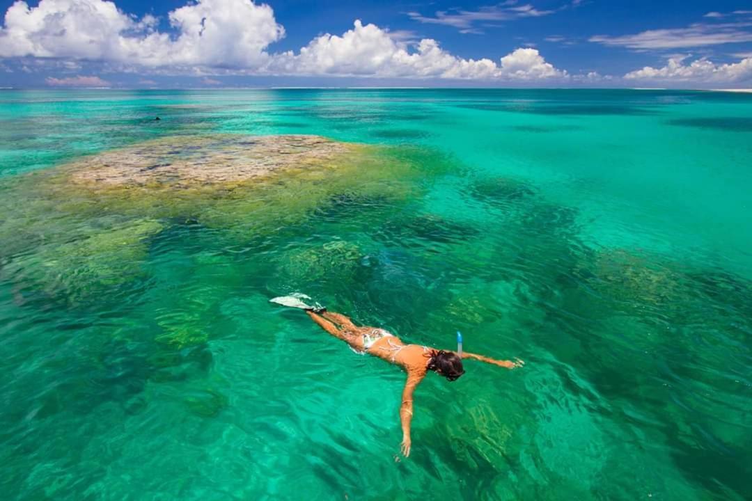 Fish Tobago *