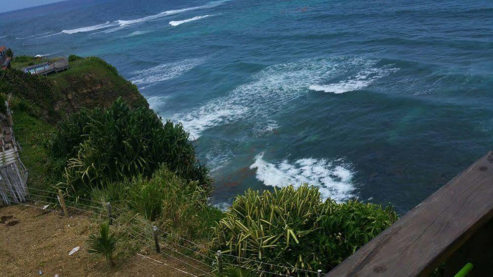 Hotel The Sea Cliff & 4*