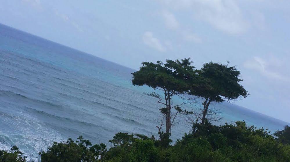 The Sea Cliff & 4* Port Antonio