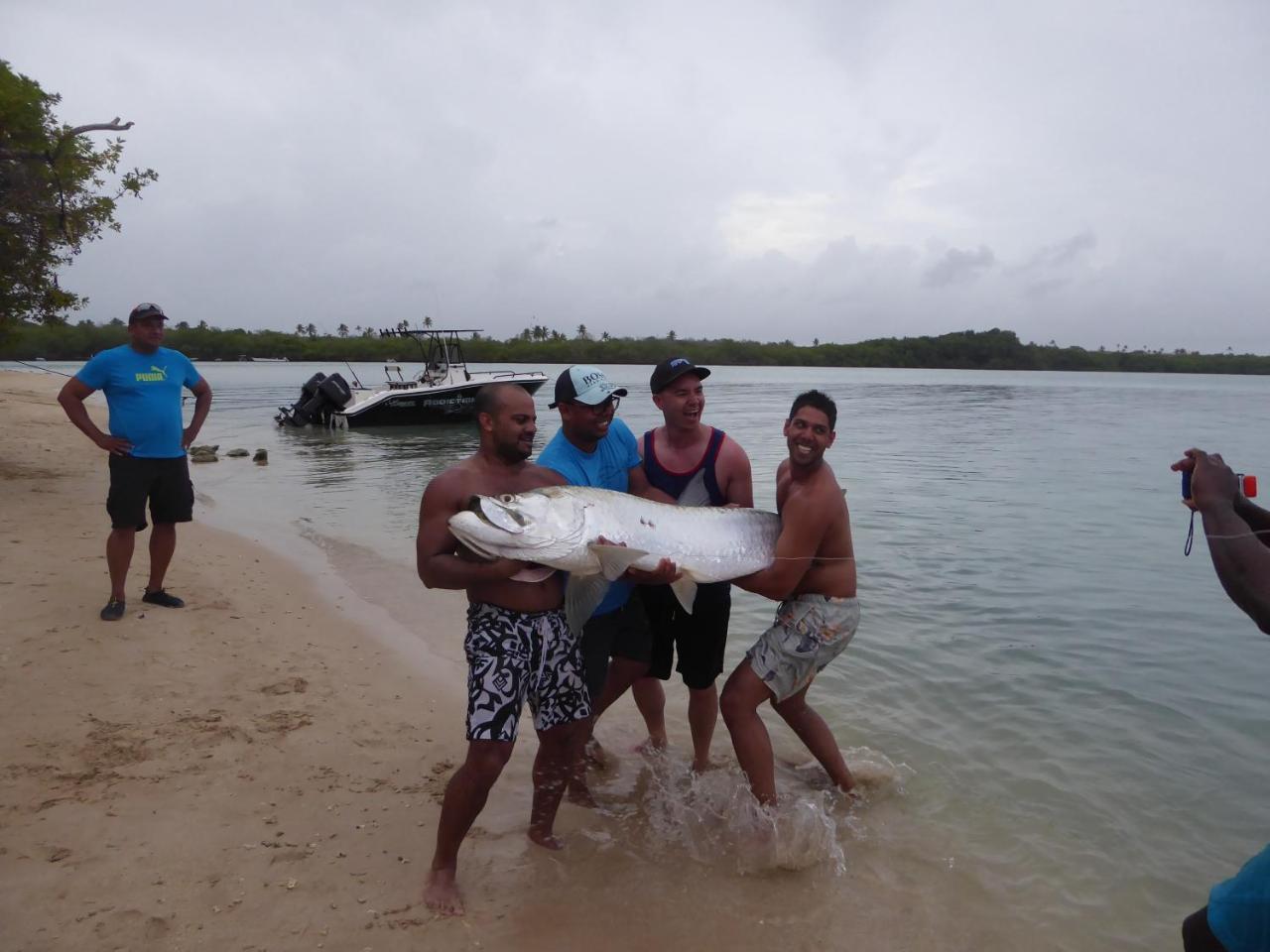 Fish Tobago Hostel