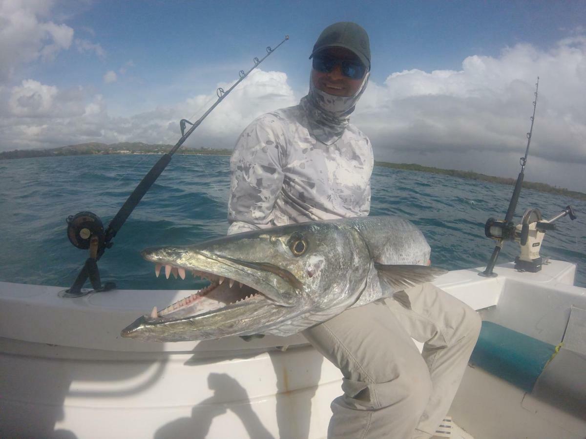 Fish Tobago *