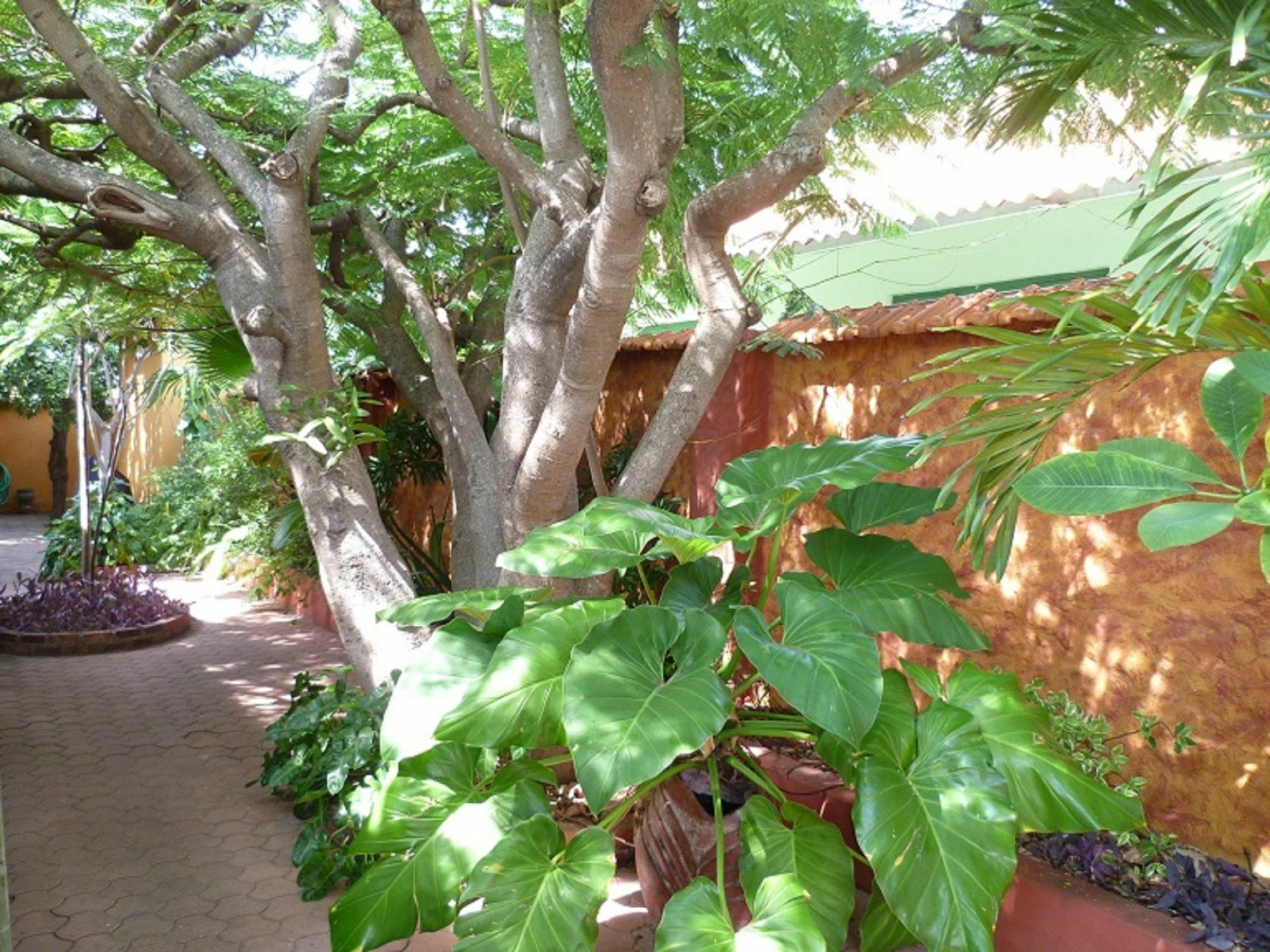 Aparthotel Flamboyant Garden