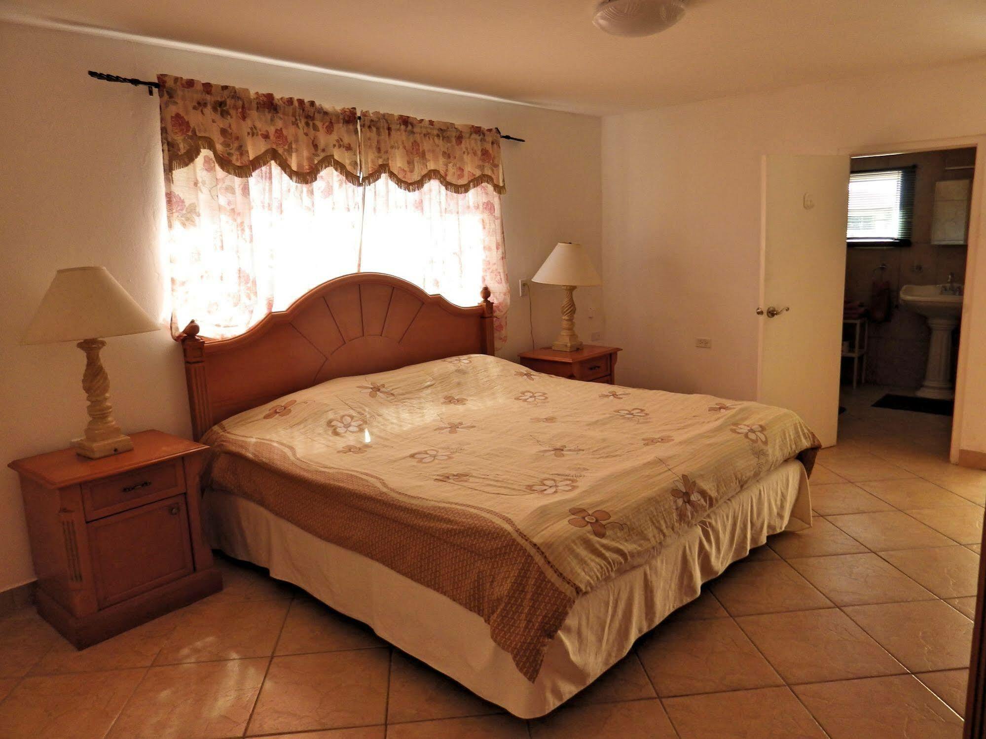 Aruba Cunucu Palm Beach